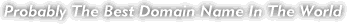 Probably The Best Domain Name In The World